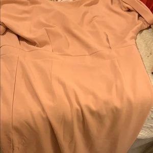 Blush pink dress with gold back zipper. Never worn